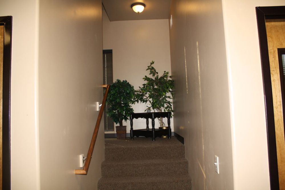 A hallway with stairs and a plant in the middle